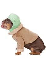 Star Wars Grogu Dog Costume Alt 2