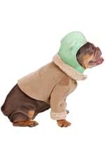 Star Wars Grogu Dog Costume Alt 3