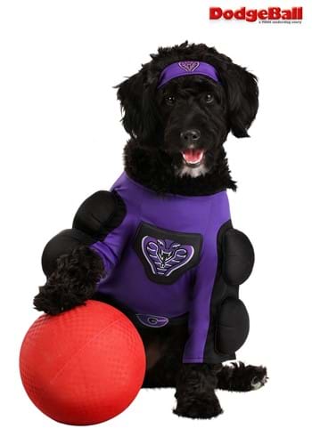 Globo Gym Dodgeball Dog Costume