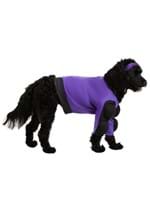 Globo Gym Dodgeball Dog Costume Alt 3