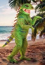 Plus Size Iguana Costume-update