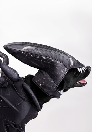 Alien Xenomorph Costume for Pets | Halloween Pet Costumes