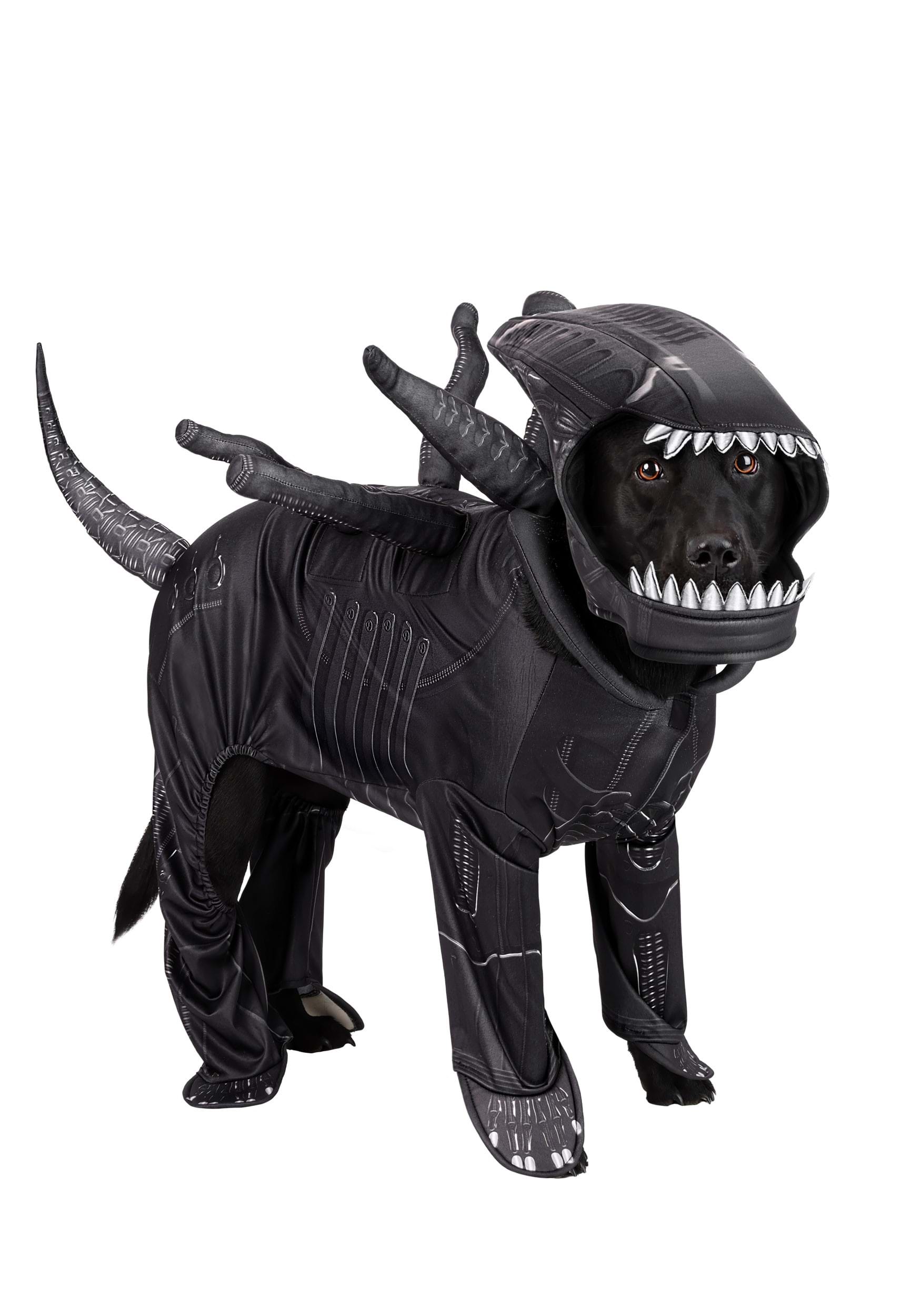 Alien Xenomorph Costume for Pets | Halloween Pet Costumes