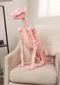 Roxy the Pink Skeleton Dog Halloween Decoration