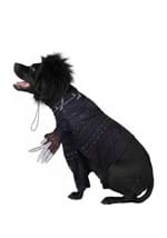 Edward Scissorhands Dog Costume Alt 3