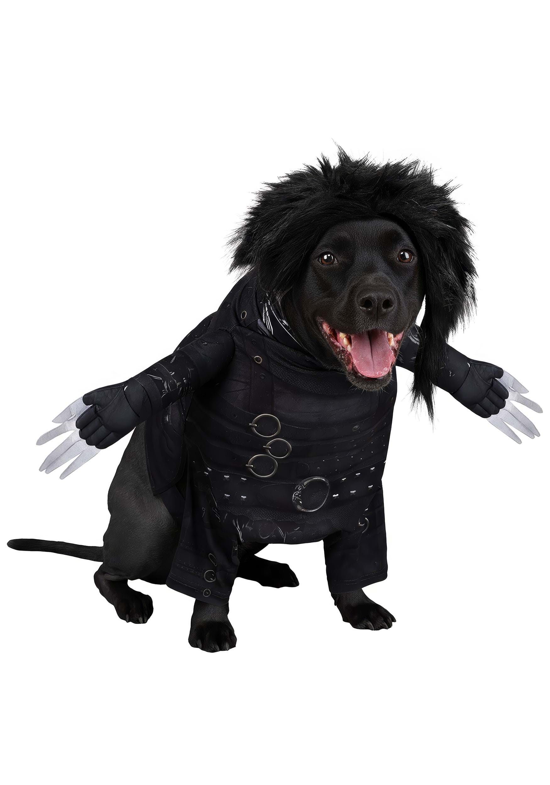 Edward Scissorhands Pet Costume | Movie Pet Costumes