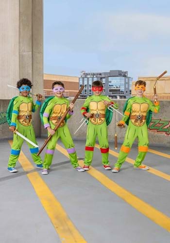 Boy's Teenage Mutant Ninja Turtles Toddler Leonardo Costume | Nickelodeon Costumes