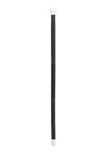 20s Dance Cane