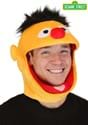 Sesame Street Ernie Jawesome Costume Hat
