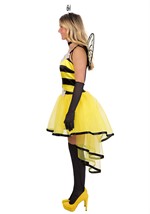 Adult Queen Bee Costume Dress Alt 3