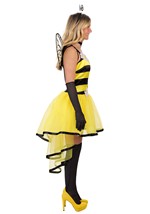 Adult Queen Bee Costume Dress Alt 4