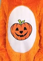 Care Bears Child Trick or Sweet Bear Costume Alt 4