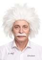 Adult Mad Scientist Costume Wig and Mustache Kit