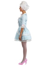 Adult Sexy Marie Antoinette Costume Dress Alt 7