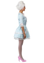 Adult Sexy Marie Antoinette Costume Dress Alt 8
