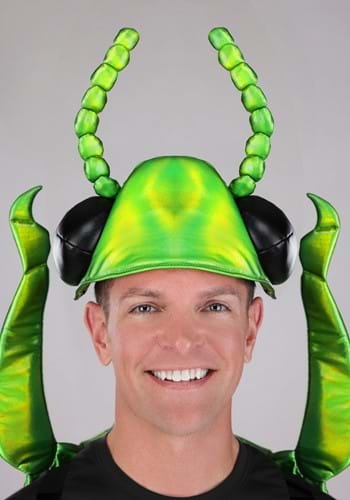 Tansy Beetle Shiny Bug Adult Costume | Animal Costumes