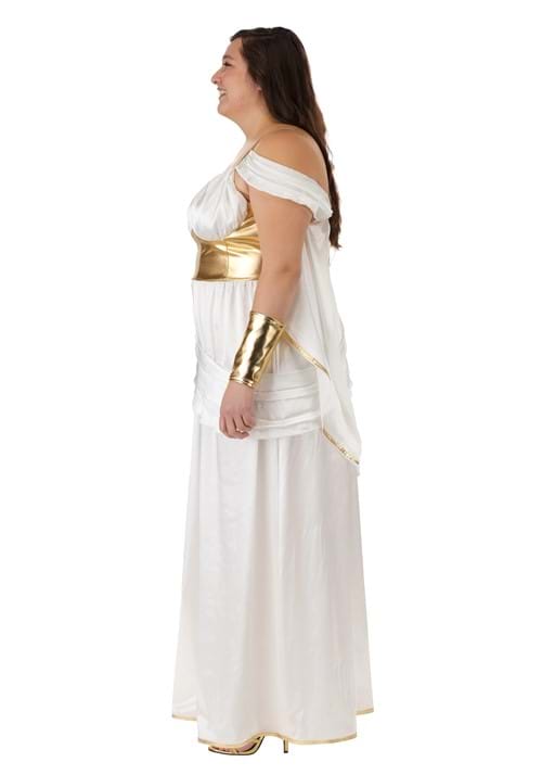 Athena Ladies Costume main image 1