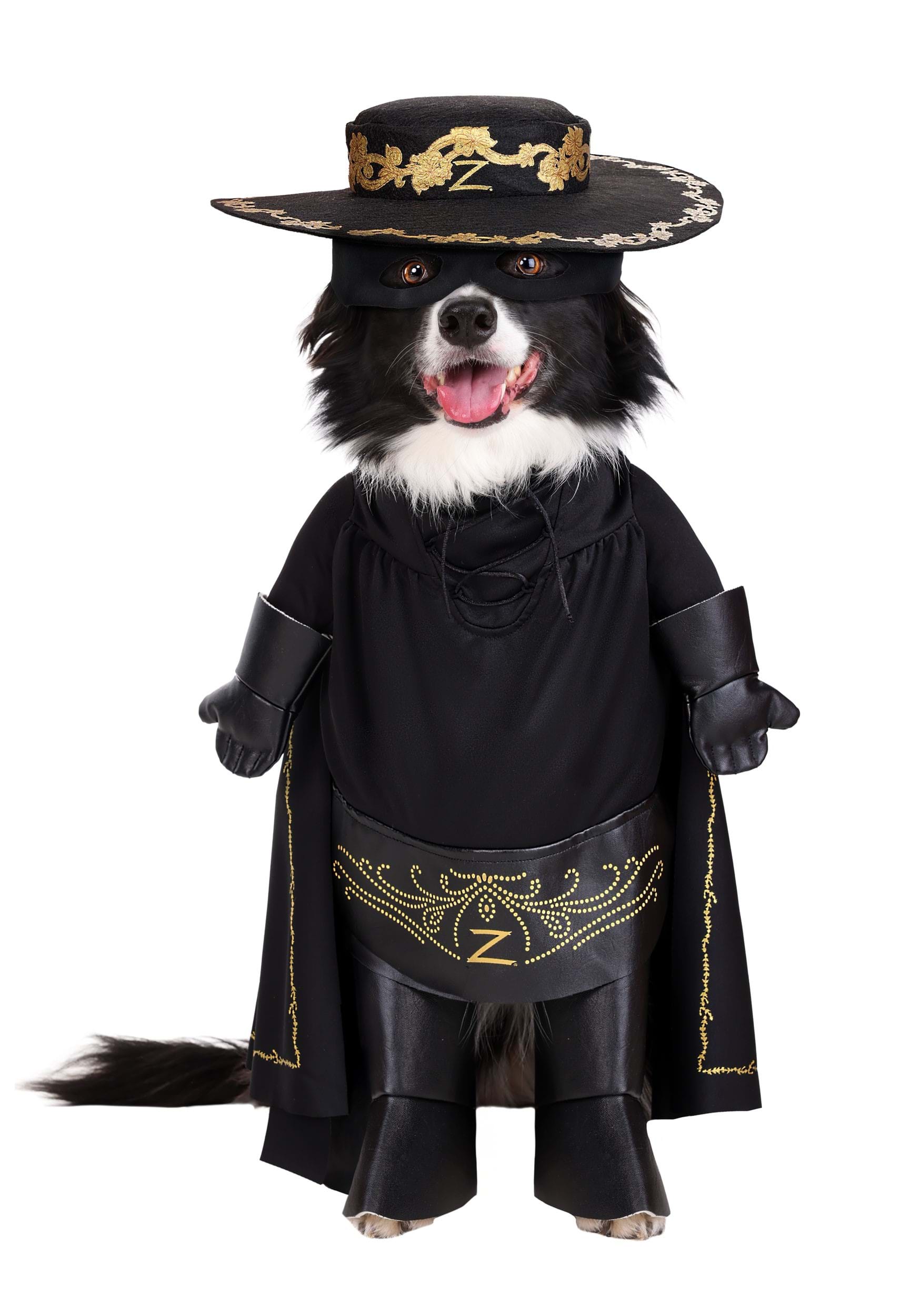 Zorro Costume for Pets | Halloween Pet Costumes