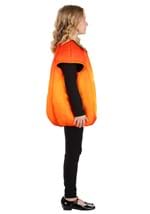 Child Fall Pumpkin Costume Alt 3