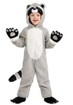 Toddler Rascal Raccoon Costume