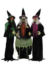 Judy, Jody, and Julie Coven of Witches Decoration Alt 7