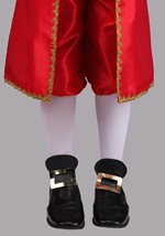 Kid's Mozart Costume Alt 3