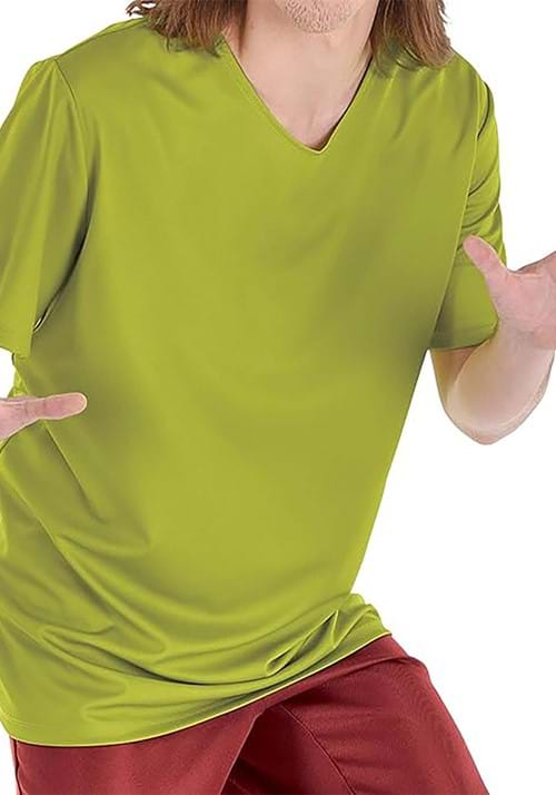 Mens Shaggy Scooby Doo Cartoon Fancy Dress Costume & Wig main image 0