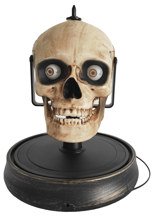 Talking Skull Bust