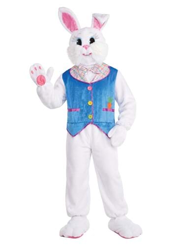 Adult Hop into Spring Easter Bunny Costume Updated