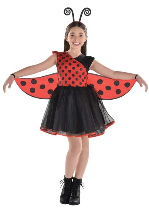 Girls Lovely Ladybug Costume Dress