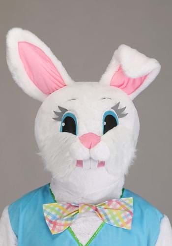 Seasonal Easter Bunny Costume for Adults | Easter Costumes