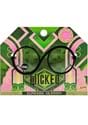 Kids Wicked Elphaba Plastic Glasses
