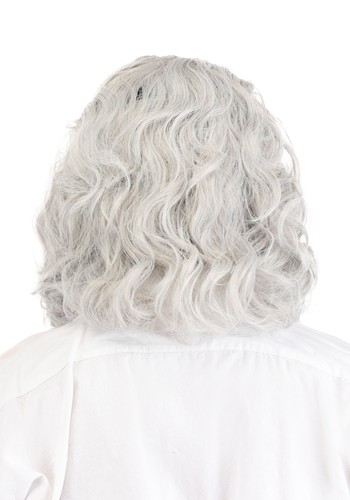 Classic Ben Franklin Adult Costume Wig | Historical Accessories
