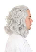Adult Classic Ben Franklin Costume Wig Alt 3