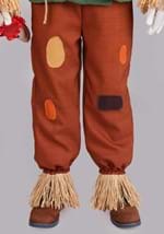 Kids Premium Wizard of Oz Scarecrow Costume Alt 7