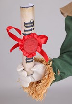 Kids Premium Wizard of Oz Scarecrow Costume Alt 6