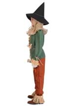 Kids Premium Wizard of Oz Scarecrow Costume Alt 2