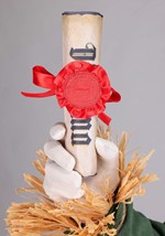 Adult Premium Wizard of Oz Scarecrow Costume Alt 6