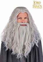 Mens Lord of the Rings Gandalf Costume Wig Beard