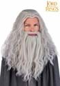 Mens Lord of the Rings Gandalf Costume Wig Beard