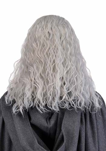Men's Gandalf Lord of the Rings Costume Wig and Beard Set | Lord of the Rings Accessories