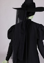 Kids Premium Wizard of Oz Wicked Witch Costume Alt 8