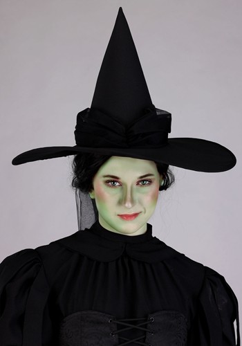 Women's Wizard of Oz Wicked Witch Premium Costume | Movie Costumes