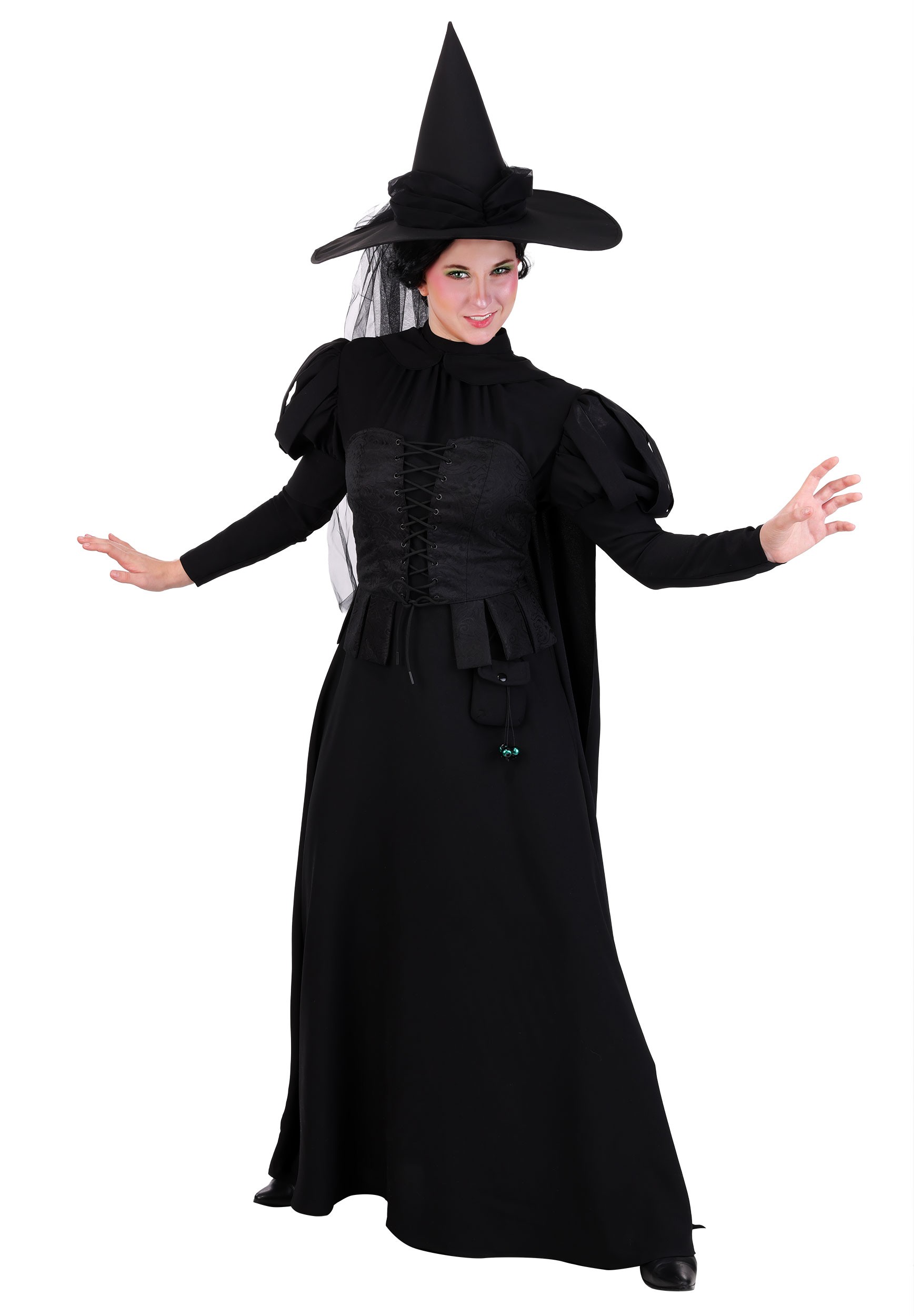 Women's Wizard of Oz Wicked Witch Premium Costume | Movie Costumes
