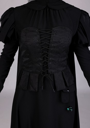 Plus Size Premium Wizard of Oz Wicked Witch Women's Costume | Movie Costumes