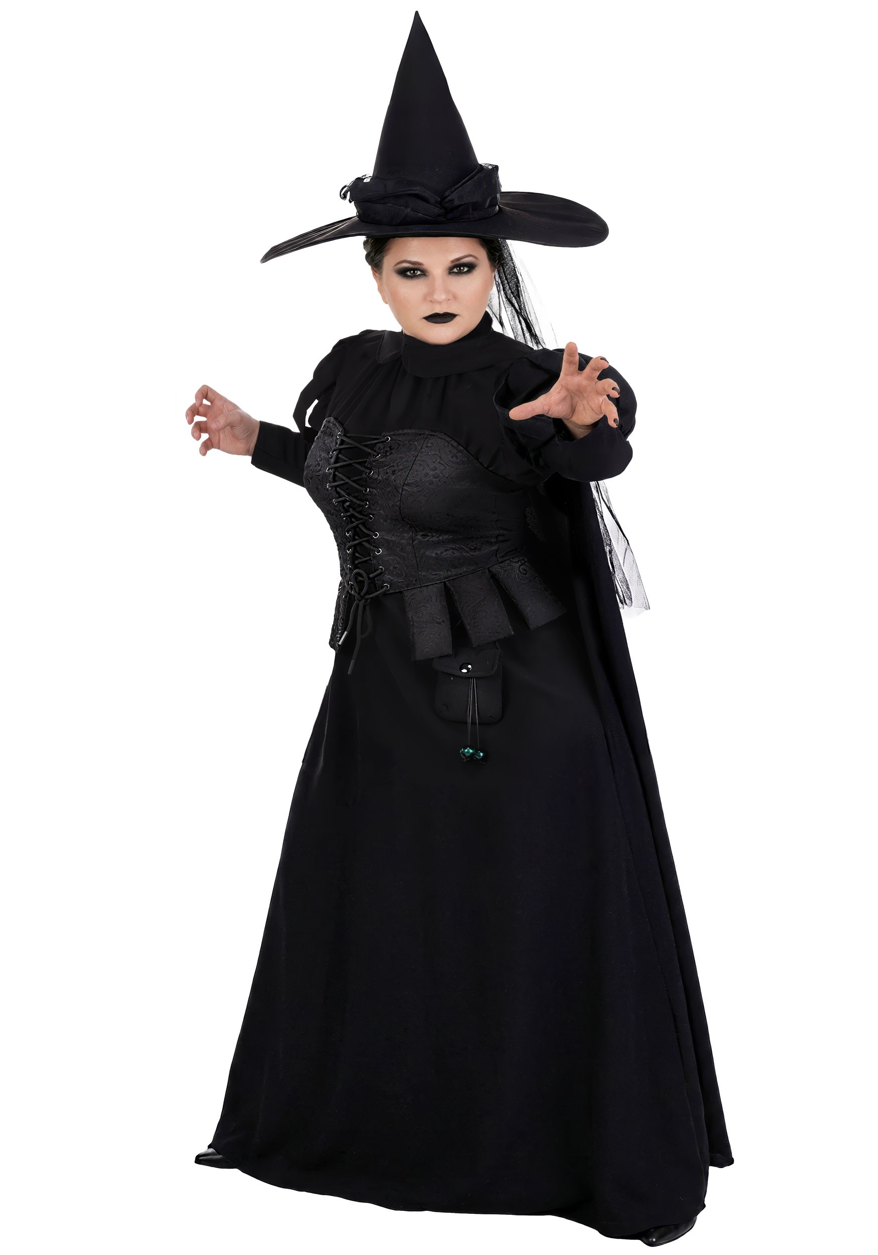 Plus Size Premium Wizard of Oz Wicked Witch Women's Costume | Movie Costumes