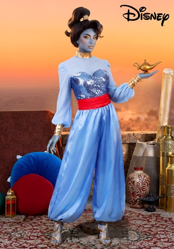 Womens Disney Aladdin Genie Costume