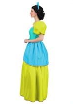 Adult Disney Cinderella Drizella Costume Alt 1