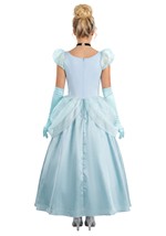 Adult Deluxe Disney Cinderella Costume Alt 1