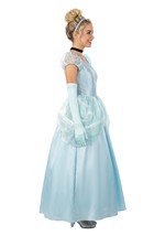 Adult Deluxe Disney Cinderella Costume Alt 3